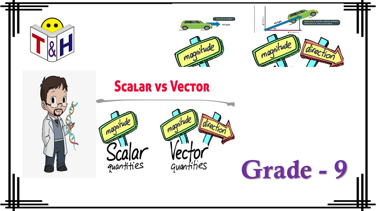 Scalar and Vector Quantities