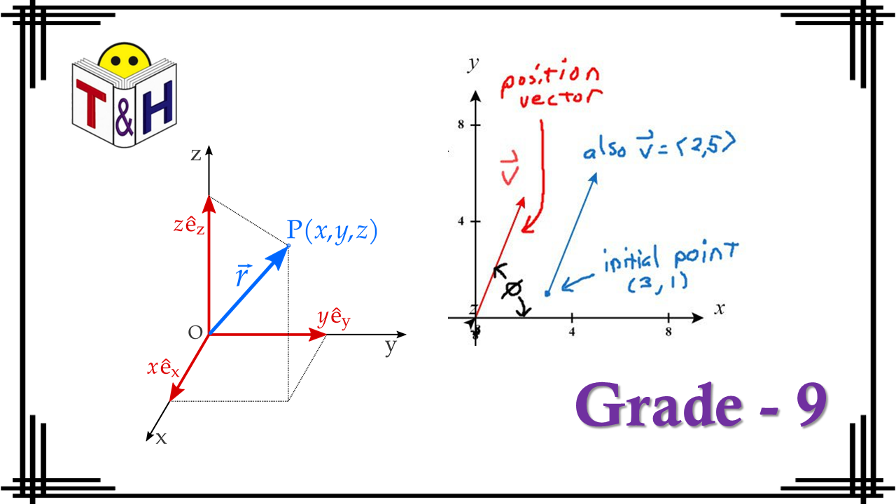 Positions Vectors